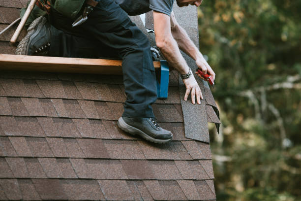 Best Roof Gutter Cleaning  in Spring Lake, NC